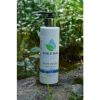 Shield Wall Insect Repellent Lotion
